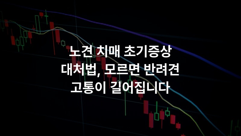 노견 치매 초기증상 대처법, 모르면 반려견 고통이 길어집니다