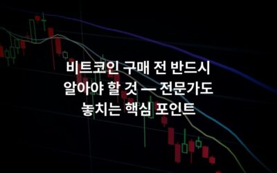 비트코인 구매 전 반드시 알아야 할 것 — 전문가도 놓치는 핵심 포인트