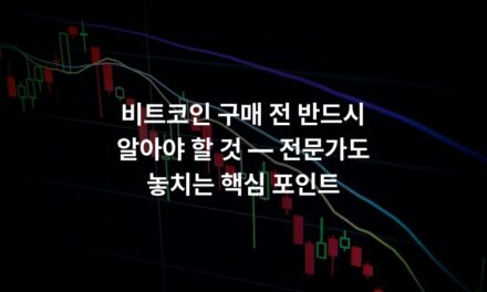 비트코인 구매 전 반드시 알아야 할 것 — 전문가도 놓치는 핵심 포인트