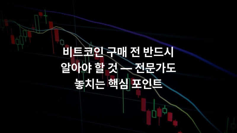 비트코인 구매 전 반드시 알아야 할 것 — 전문가도 놓치는 핵심 포인트