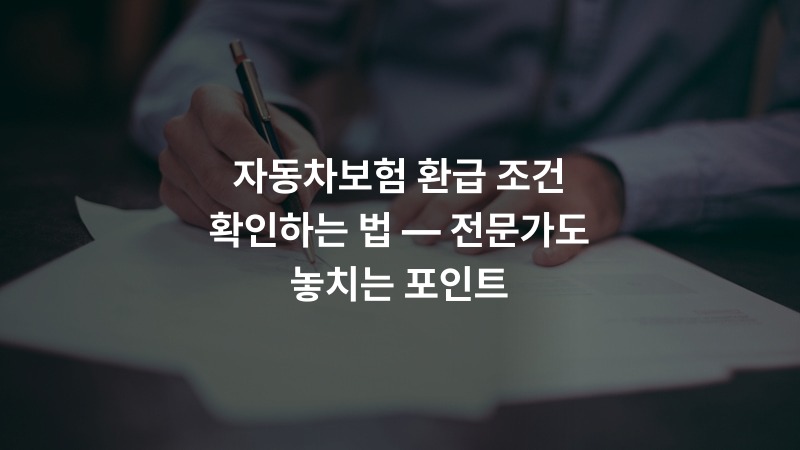 자동차보험 환급 조건 확인하는 법 — 전문가도 놓치는 포인트
