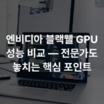 엔비디아 블랙웰 GPU 성능 비교 — 전문가도 놓치는 핵심 포인트