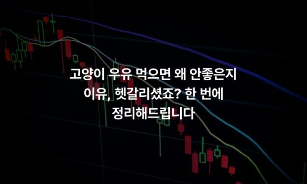 고양이 우유 먹으면 왜 안좋은지 이유, 헷갈리셨죠? 한 번에 정리해드립니다