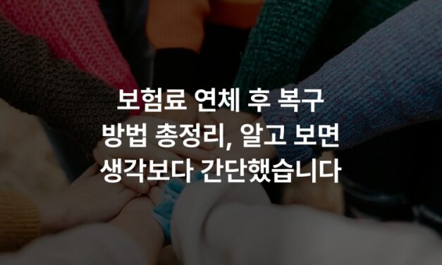 보험료 연체 후 복구 방법 총정리, 알고 보면 생각보다 간단했습니다