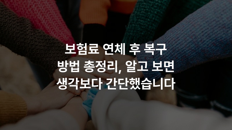 보험료 연체 후 복구 방법 총정리, 알고 보면 생각보다 간단했습니다